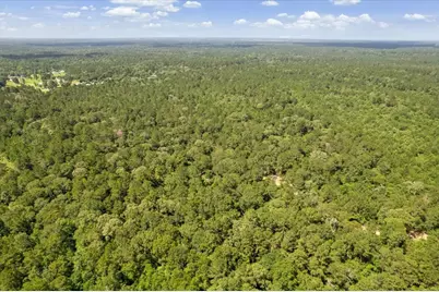 Tbd Lot 2 County Road 302, Navasota, TX 77868 - Photo 26