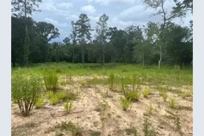 1655 Clark Rd, Plantersville, TX 77363 - Photo 8