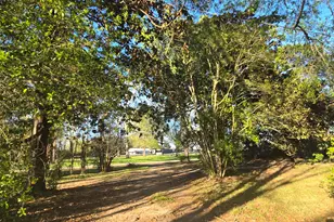 1132 Liberty Ave, Livingston, TX 77351 - Photo 22