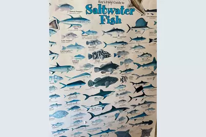 441 Cr-441F, Brazoria, TX 77422 - Photo 22