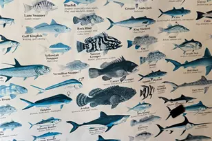 441 Cr-441F, Brazoria, TX 77422 - Photo 22