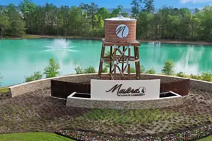 16153 Sepia Manor St, Conroe, TX 77378 - Photo 14