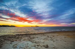 331 Shoreline Dr, Brookeland, TX 75931 - Photo 24