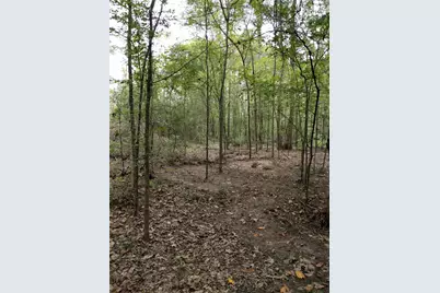 50G Jock Street, Livingston, TX 77351 - Photo 8