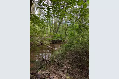 50G Jock Street, Livingston, TX 77351 - Photo 10