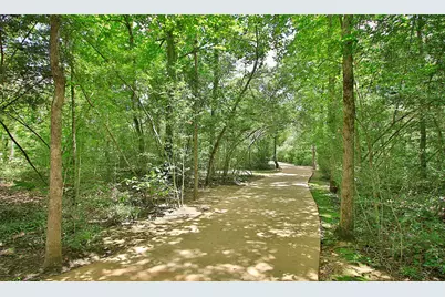211 Warbler Song Drive, Willis, TX 77318 - Photo 20