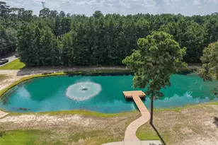 4034 Honea Egypt Rd, Montgomery, TX 77316 - Photo 44