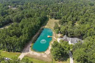 4034 Honea Egypt Rd, Montgomery, TX 77316 - Photo 48