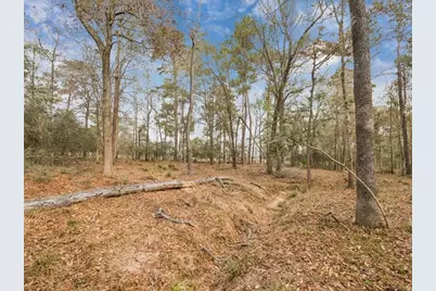 125 Skipper Jack, Montgomery, TX 77316 - Photo 12