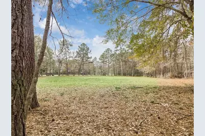 125 Skipper Jack, Montgomery, TX 77316 - Photo 2