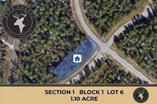 127 Gypsum Rd, New Waverly, TX 77358 - Photo 1