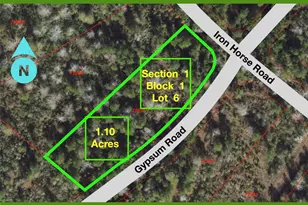 127 Gypsum Rd, New Waverly, TX 77358 - Photo 1