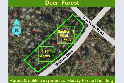 127 Gypsum Road, New Waverly, TX 77358 - Photo 2