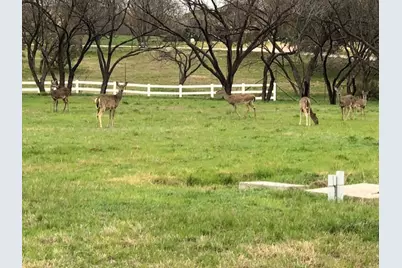 404 Shale, Horseshoe Bay, TX 78657 - Photo 2