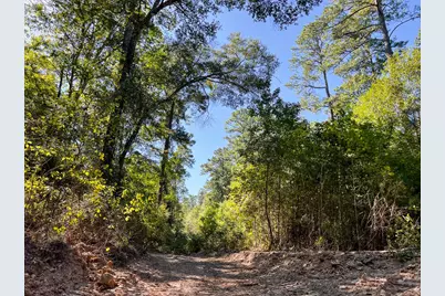 1 Fm 350, Livingston, TX 77351 - Photo 10