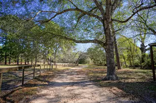 10713 County Rd 446, Navasota, TX 77868 - Photo 20