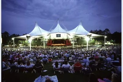 147 Wynnoak, The Woodlands, TX 77382 - Photo 46