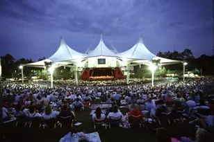 147 Wynnoak, The Woodlands, TX 77382 - Photo 46