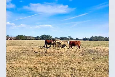 Tbd County Road 200, Weimar, TX 78962 - Photo 4