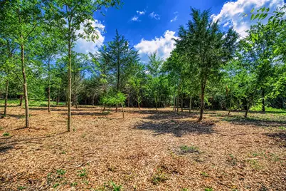 Lots 1 & 2 Wonder Hill Road, Chappell Hill, TX 77426 - Photo 4