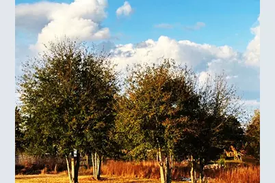 667 Road 5252, Cleveland, TX 77327 - Photo 6