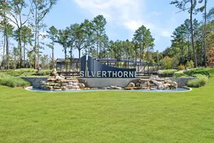 1128 Skyline Trails Ave, Conroe, TX 77303 - Photo 24