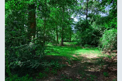 2373 Crockett Martin Road, Conroe, TX 77306 - Photo 34
