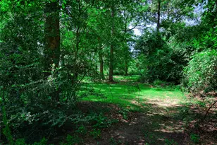 2373 Crockett Martin Rd, Conroe, TX 77306 - Photo 34