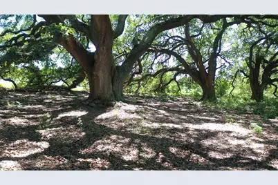 8616 Fm 2502, Brenham, TX 77833 - Photo 20