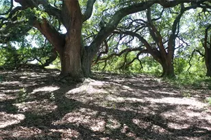 8616 Fm 2502, Brenham, TX 77833 - Photo 20