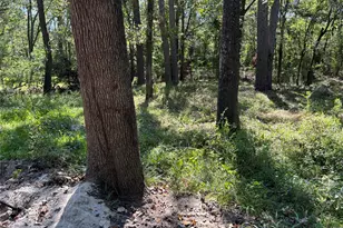 1314 Hamblen Rd, Houston, TX 77339 - Photo 6