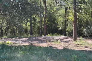 1314 Hamblen Rd, Houston, TX 77339 - Photo 4