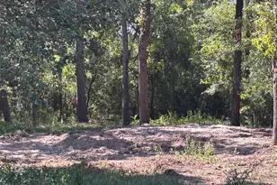 1314 Hamblen Rd, Houston, TX 77339 - Photo 2