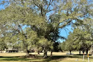 77 Westwood Dr E, Trinity, TX 75862 - Photo 4