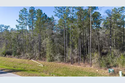 11623 Dawn Tree Lane, Willis, TX 77378 - Photo 2