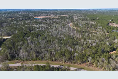 11623 Dawn Tree Lane, Willis, TX 77378 - Photo 6