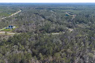 11623 Dawn Tree Ln, Willis, TX 77378 - Photo 1