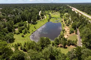 142 Golden Autumn Pl, The Woodlands, TX 77384 - Photo 28