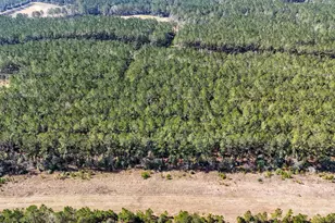 15422 Frst Grv Dr, Willis, TX 77378 - Photo 16