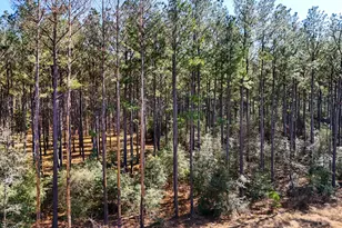 15422 Frst Grv Dr, Willis, TX 77378 - Photo 6