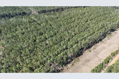 15422 Forest Grove Drive, Willis, TX 77378 - Photo 18