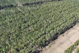 15422 Frst Grv Dr, Willis, TX 77378 - Photo 18