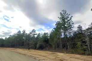 11646 Grand N Rd, Willis, TX 77358 - Photo 6