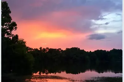 1108 County Road 136A, Alvin, TX 77511 - Photo 34