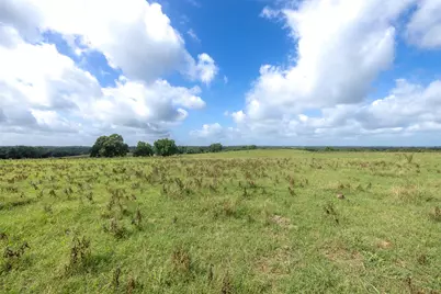 6550 Gibbs Creek Road, Chappell Hill, TX 77426 - Photo 16