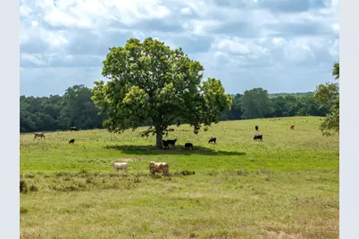 6550 Gibbs Creek Road, Chappell Hill, TX 77426 - Photo 8