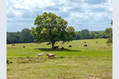 6550 Gibbs Creek Road, Chappell Hill, TX 77426 - Photo 4