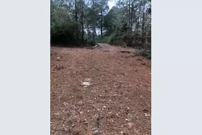 736 Private Road 1284 Road, Centerville, TX 75833 - Photo 2