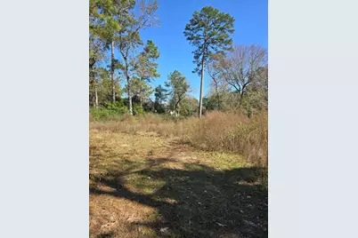 10287 Wanda Lane, Montgomery, TX 77316 - Photo 6