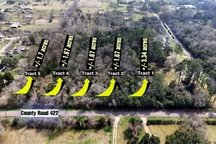 0 County Road 422-Tract 4, Alvin, TX 77511 - Photo 1